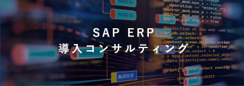 SAP ERP導入コンサルティング